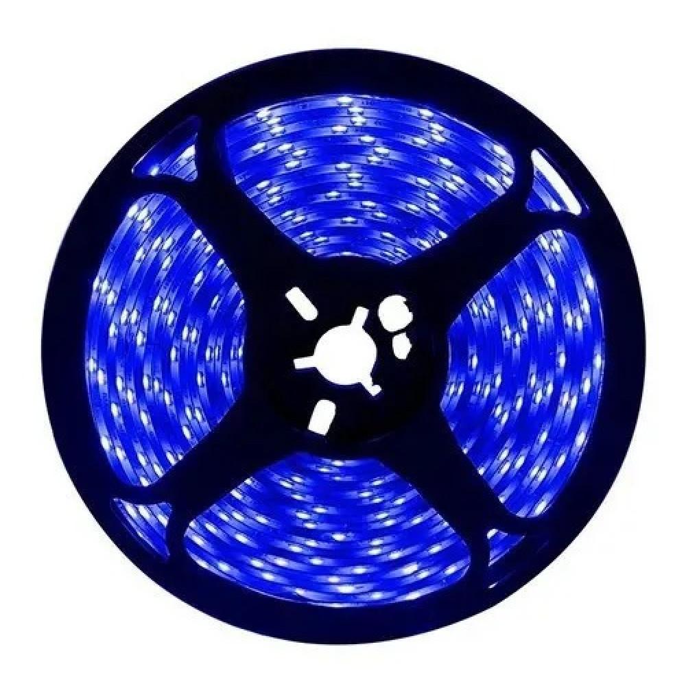 FITA 240 LEDS DIGITAL 24V IP20 12W 10MM 2200LU BLUE R 5 M