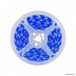 FITA 240 LEDS DIGITAL 24V IP20 12W 10MM  BLUE R 5M