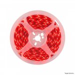 FITA 240 LEDS DIGITAL 24V IP20 12W 10MM RED R 5M
