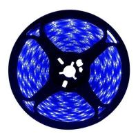 Fita Led Digital Blue 240L 24v IP20 12w 10mm 2200Lu Rolo 5m (Xx)
