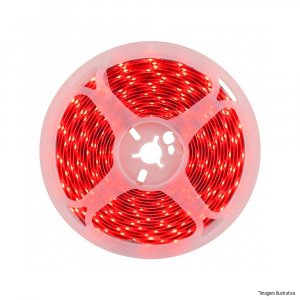 FITA 128 LEDS DIGITAL 24V IP20 12W 8MM RED R 5M